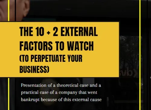 The 10 + 2 external factors to watch out for to ensure the long-term future of your business